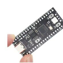 Rpi Pico RP2040 16MB (ref: 0616)